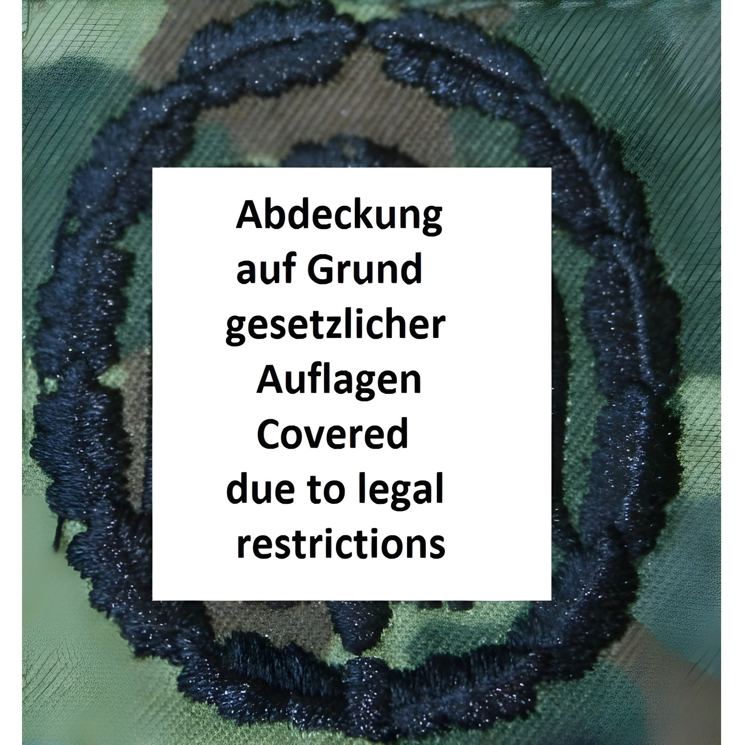 BW Leistungsabzeichen Flecktarn - Image 3